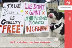 کانادا ممنوعیت آزمایش روی حیوانات را اعلام کرد!