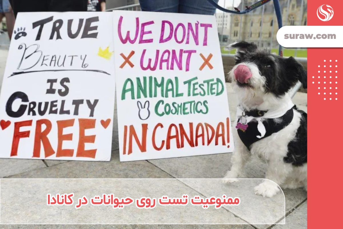 کانادا ممنوعیت آزمایش لوازم آرایشی روی حیوانات را اعلام کرد!