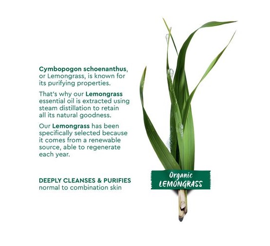 Garnier Bio Organic Lemongrass Detox Gel Wash (2)