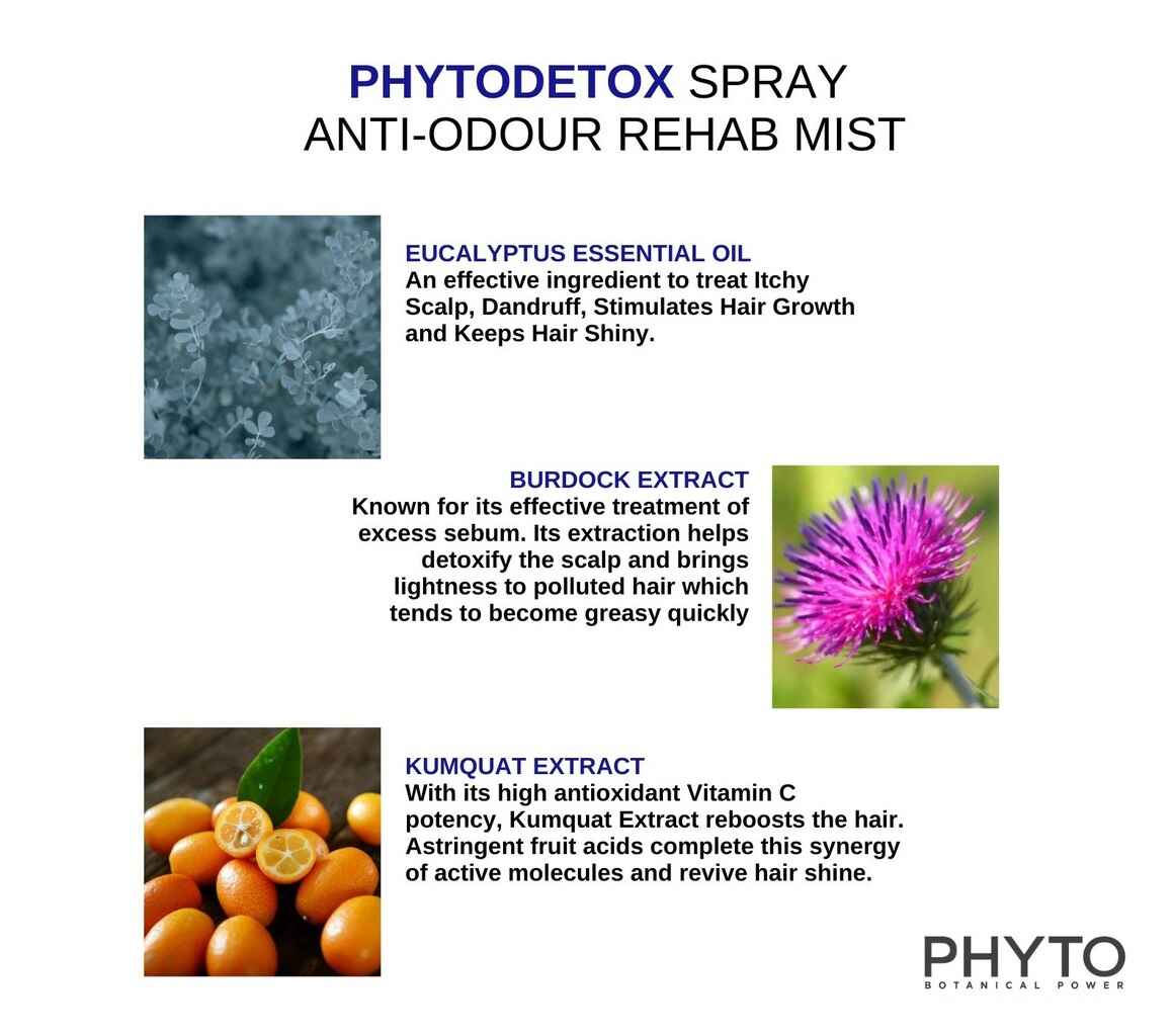 ترکیبات مهم اسپری سم زدای پوست سر و ضد آلودگی مو PhytoDetox