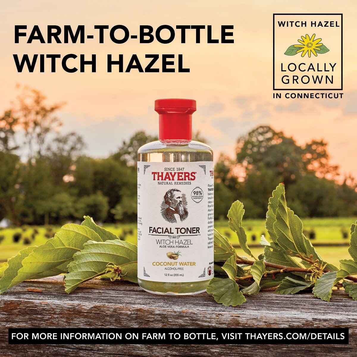 تونر Witch Hazel Coconut Water برند امریکایی تایرز